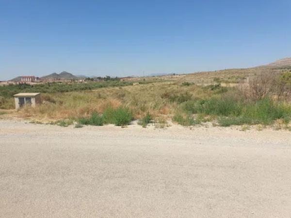 Terreno en Partida la Escandella, 59