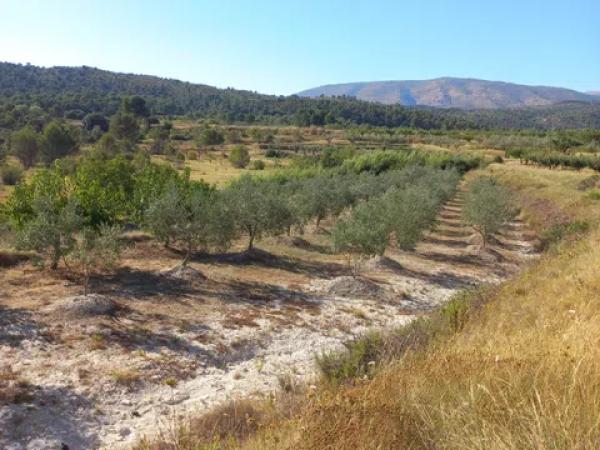 Terreno en Collaos, Lloma s/n Lavalldealcala