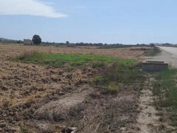 Terreno en Partida lo Pedreño, km 9