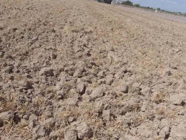 Terreno en Partida lo Pedreño, km 9