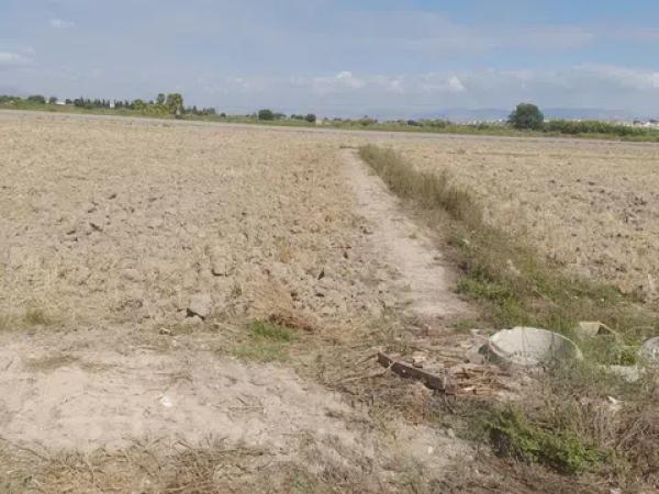 Terreno en Partida lo Pedreño, km 9