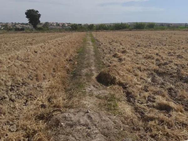Terreno en Partida lo Pedreño, km 9