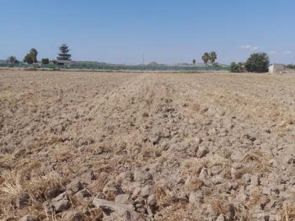 Terreno en Partida lo Pedreño, km 9