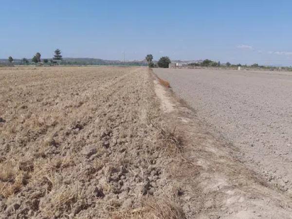 Terreno en Partida lo Pedreño, km 9
