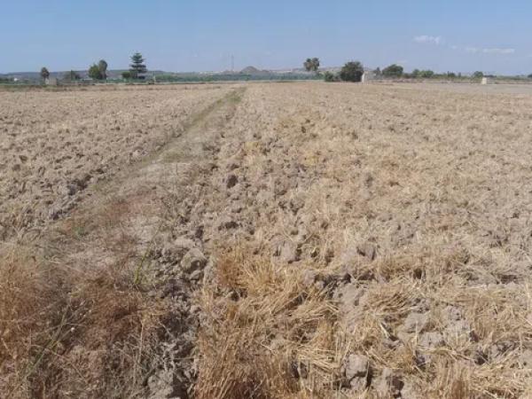 Terreno en Partida lo Pedreño, km 9