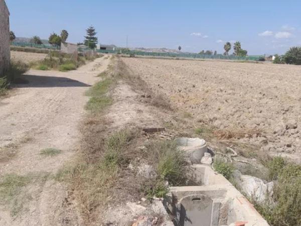 Terreno en Partida lo Pedreño, km 9