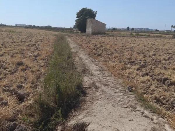 Terreno en Partida lo Pedreño, km 9