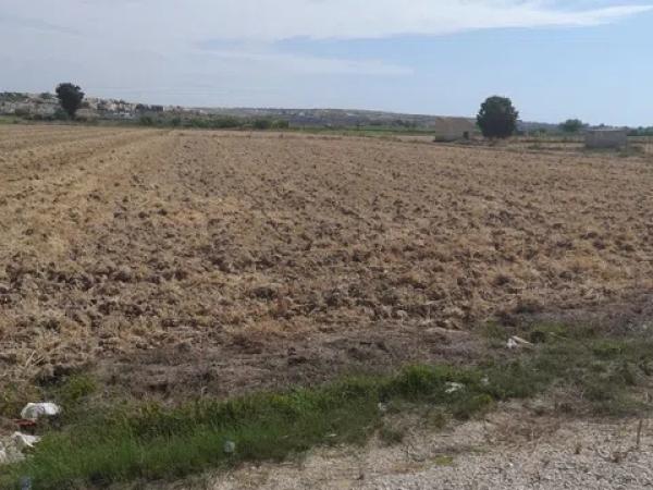 Terreno en Partida lo Pedreño, km 9