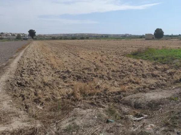 Terreno en Partida lo Pedreño, km 9