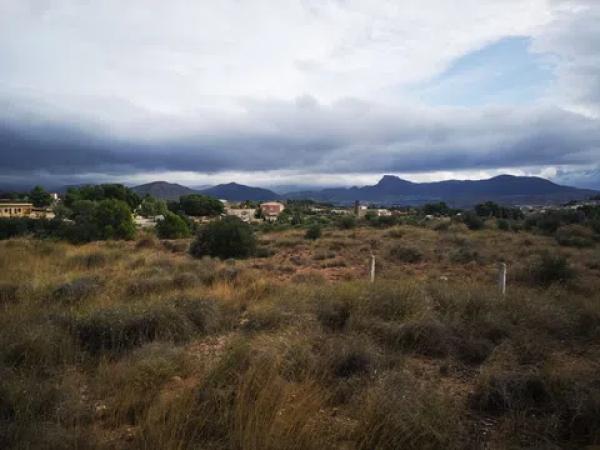 Terreno en ronda del Parc, 236 Parc. 236-