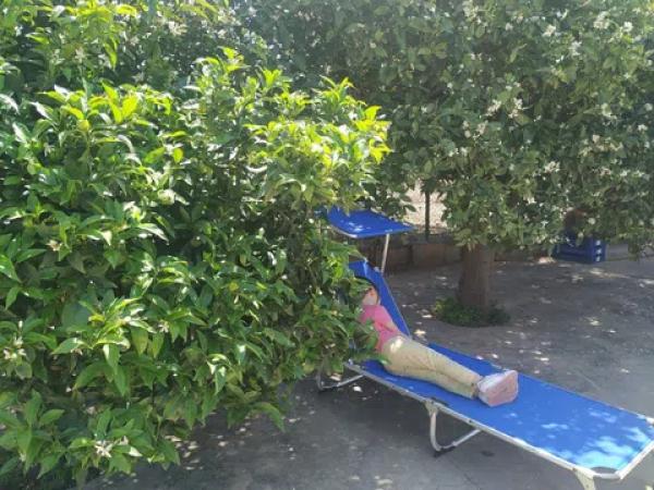 Terreno en Partida Dehesa la Gp. 13, 16