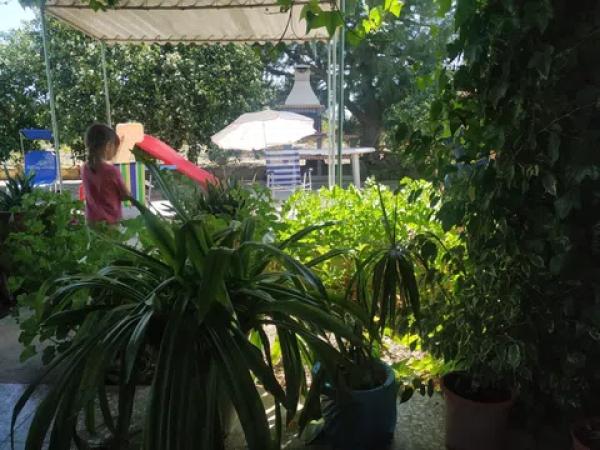 Terreno en Partida Dehesa la Gp. 13, 16