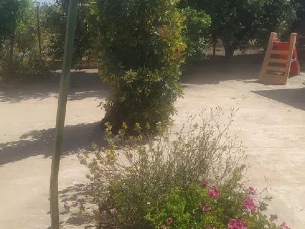 Terreno en Partida Dehesa la Gp. 13, 16