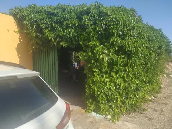 Terreno en Partida Dehesa la Gp. 13, 16