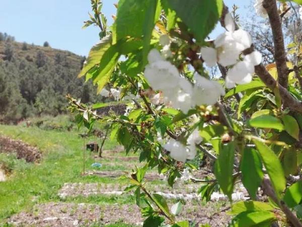 Terreno en Les Murtes, 16