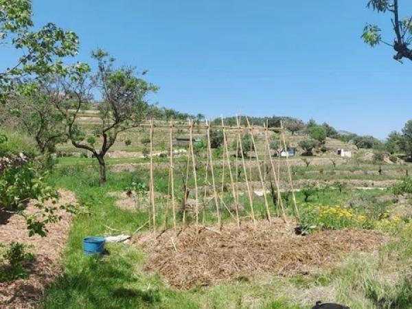 Terreno en Les Murtes, 16