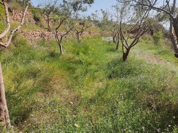 Terreno en Les Murtes, 16