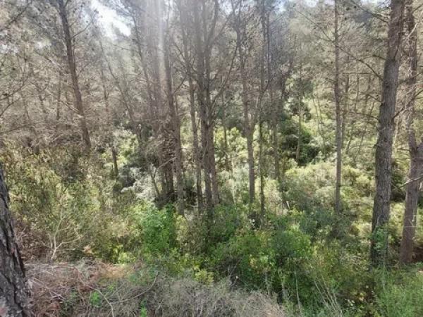 Terreno en Les Murtes, 16