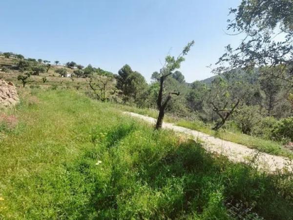 Terreno en Les Murtes, 16