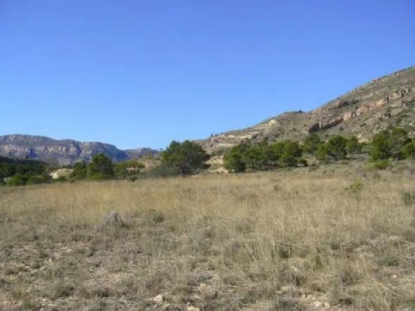Terreno en Barranco el Palomaret