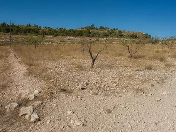 Terreno en La Caballusa