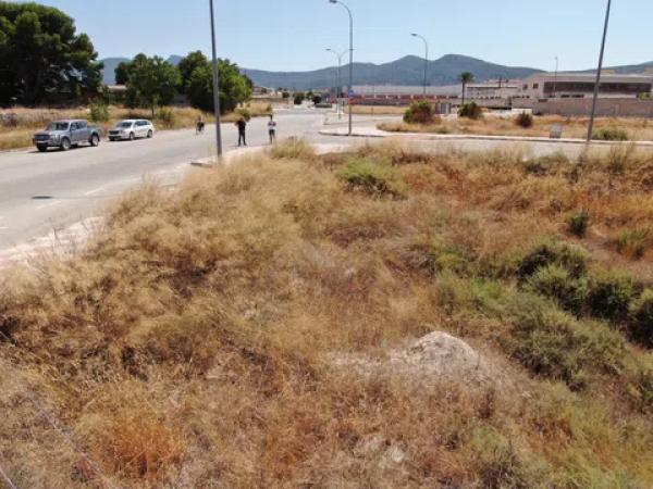 Terreno en calle Tte General Vicente Ripoll Vals, 22