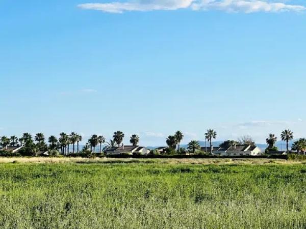 Terreno en Almoradí