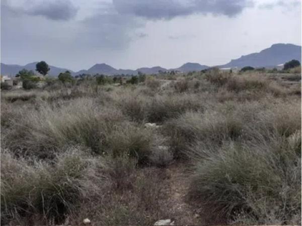 Terreno en calle Verdegás, 8 a