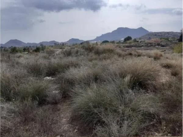 Terreno en calle Verdegás, 8 a