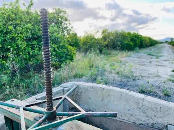 Terreno en Almoradí