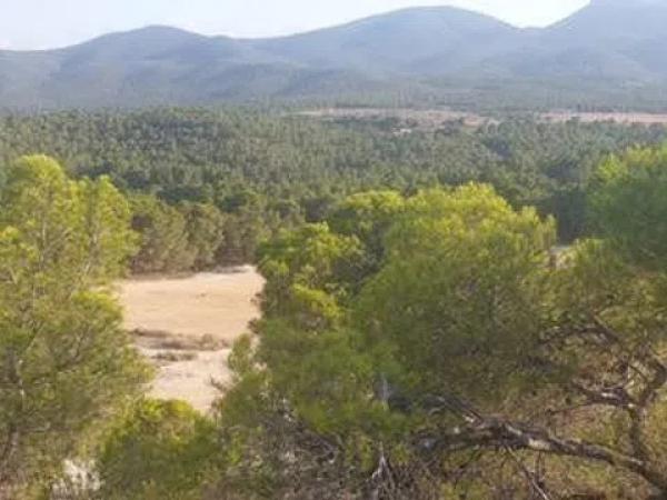 Terreno en Lugar Iii Pd 3