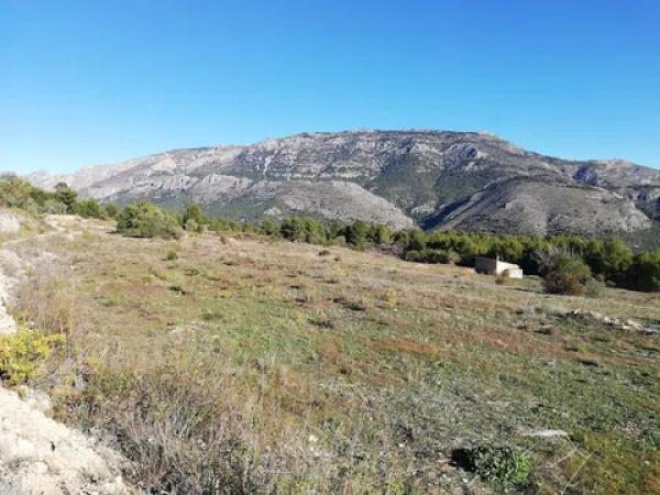 Terreno en calle Gines s/n Ferrajets