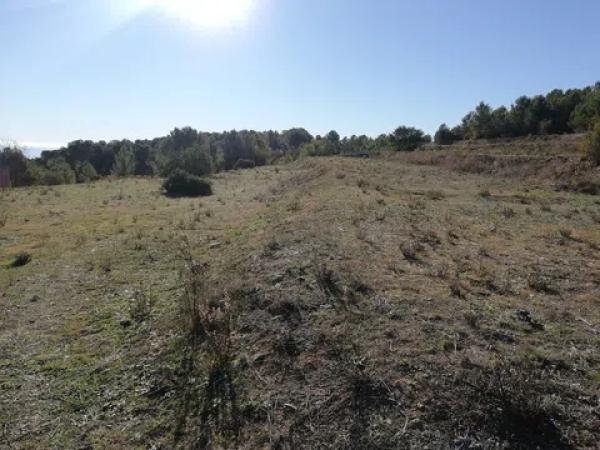 Terreno en calle Gines s/n Ferrajets