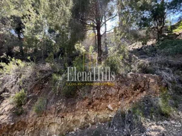 Terreno en calle el Capsot