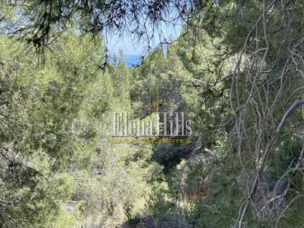 Terreno en calle el Capsot