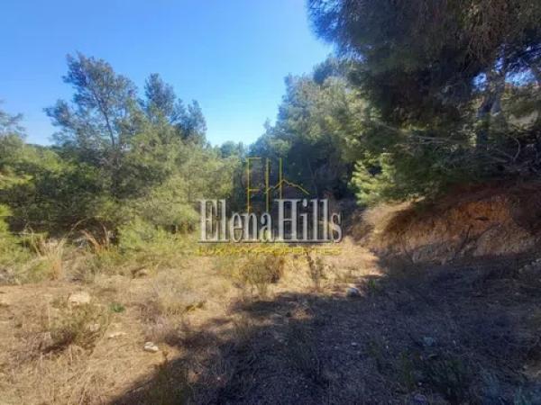 Terreno en calle el Capsot