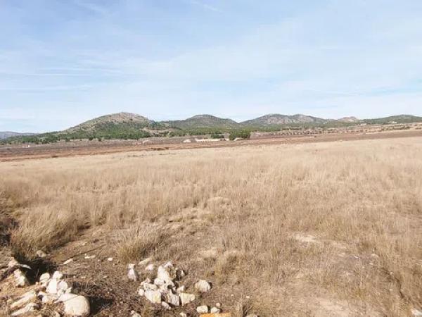 Terreno en El Fondó, 8