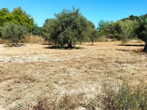 Terreno en paco moreno s/n parcela