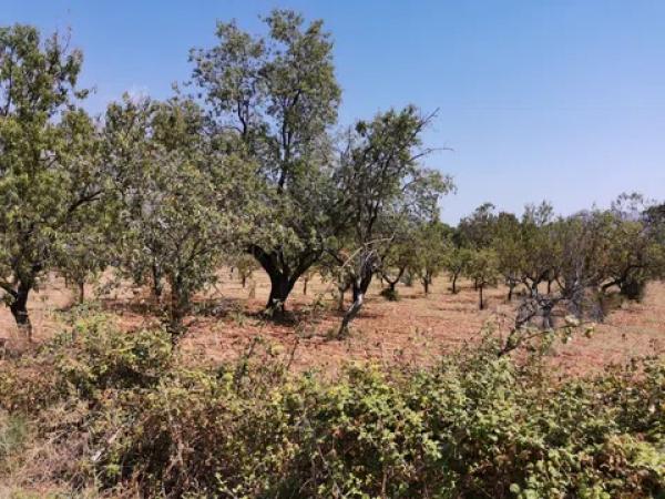 Terreno en Poligono Fontille