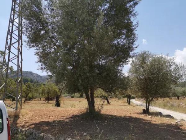 Terreno en camino del Port