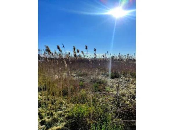 Terreno en San Fulgencio