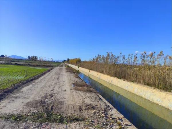 Terreno en San Fulgencio