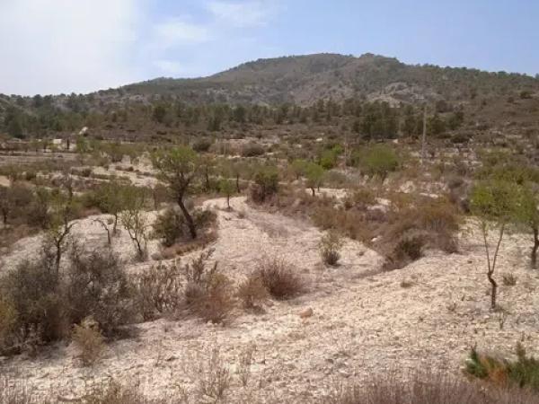 Terreno en Fasamai s/n sn