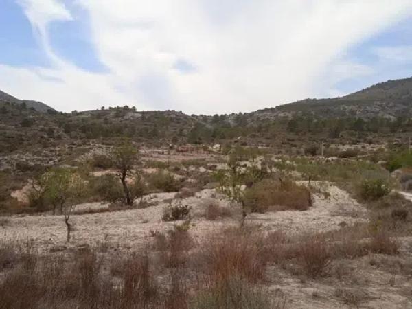 Terreno en Fasamai s/n sn