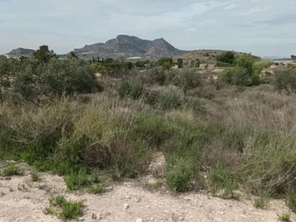 Terreno en calle Verdegás