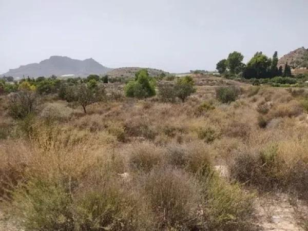 Terreno en calle Verdegás