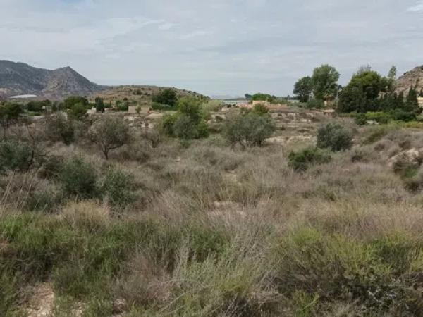 Terreno en calle Verdegás