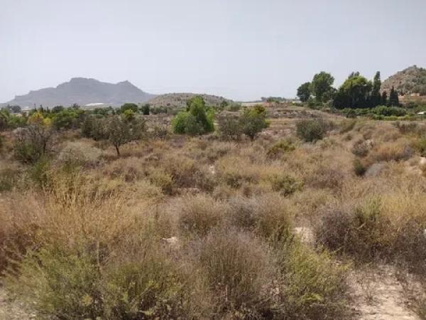Terreno en calle Verdegás