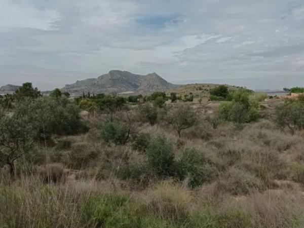 Terreno en calle Verdegás