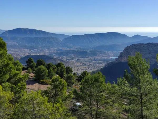 Terreno en Partida Bortolons, 11